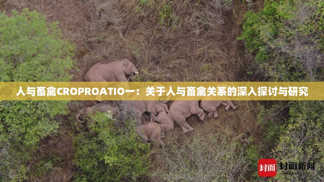 人与畜禽CROPROATIO一：关于人与畜禽关系的深入探讨与研究