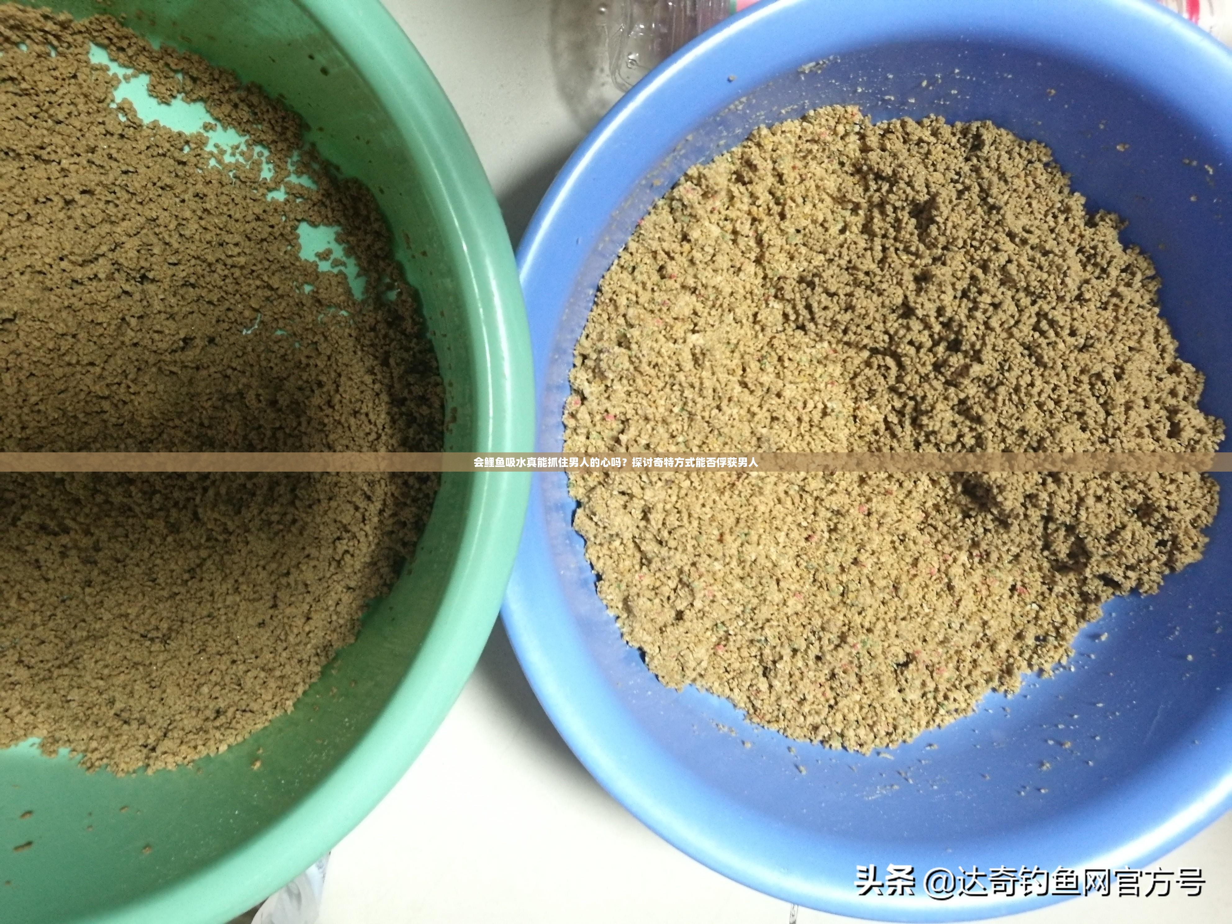 会鲤鱼吸水真能抓住男人的心吗？探讨奇特方式能否俘获男人