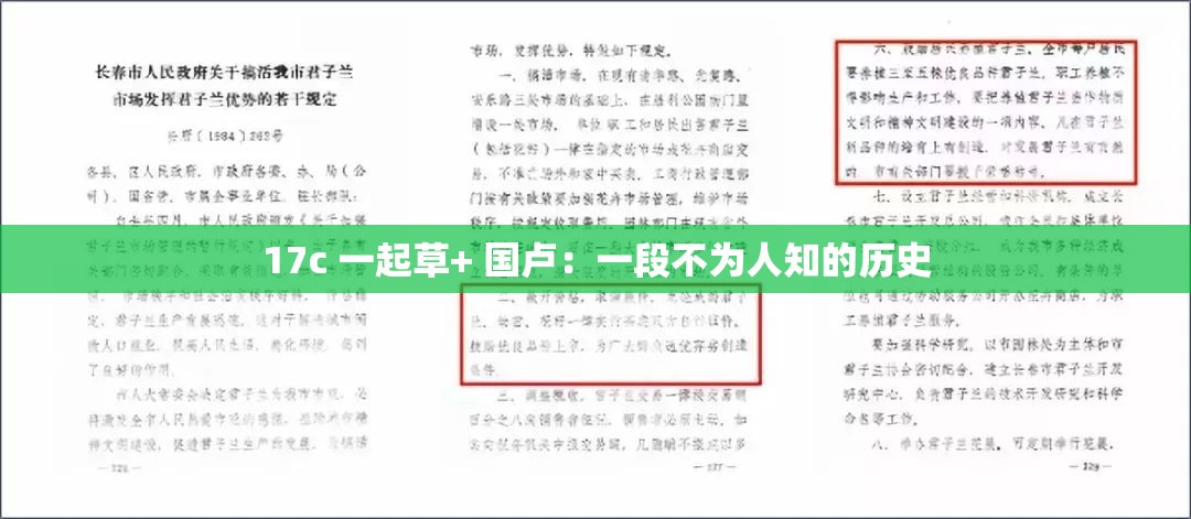 17c 一起草+ 国卢：一段不为人知的历史