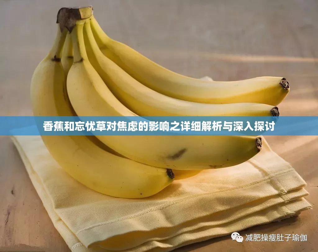 香蕉和忘忧草对焦虑的影响之详细解析与深入探讨