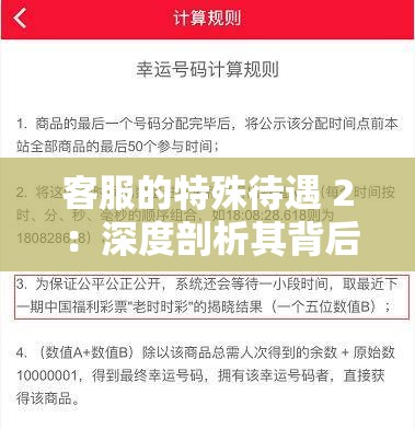 客服的特殊待遇 2 ：深度剖析其背后的权益与福利
