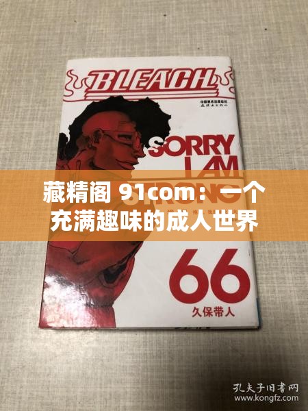 藏精阁 91com：一个充满趣味的成人世界