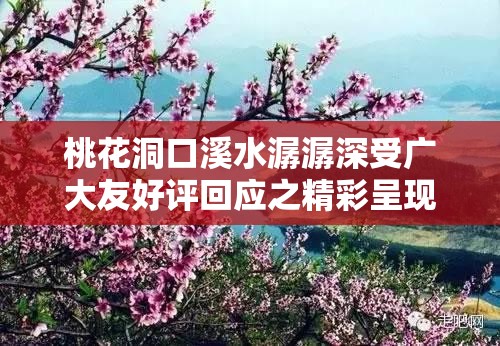 桃花洞口溪水潺潺深受广大友好评回应之精彩呈现