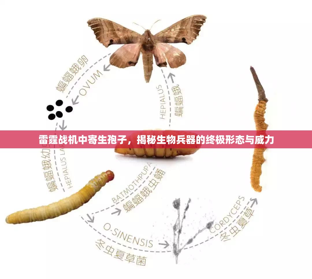 雷霆战机中寄生孢子，揭秘生物兵器的终极形态与威力