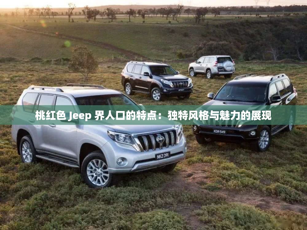 桃红色 Jeep 界人口的特点：独特风格与魅力的展现