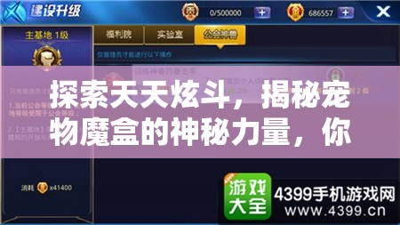 探索天天炫斗，揭秘宠物魔盒的神秘力量，你是否已经成功解锁其潜能？