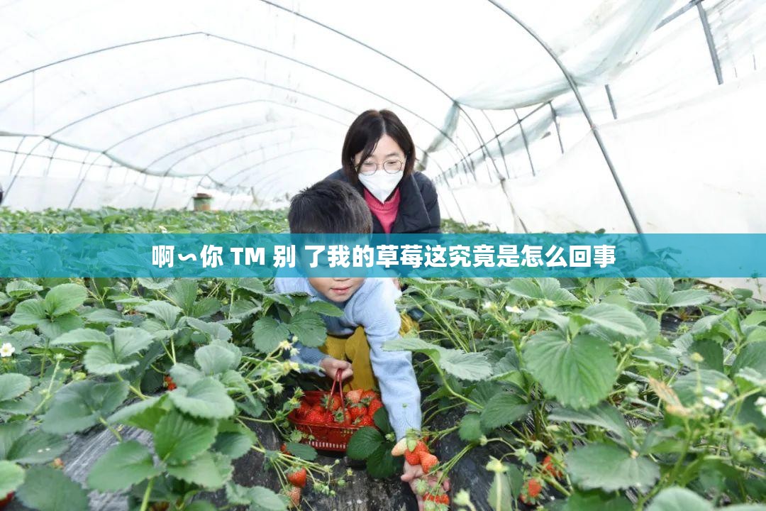 啊∽你 TM 别 了我的草莓这究竟是怎么回事