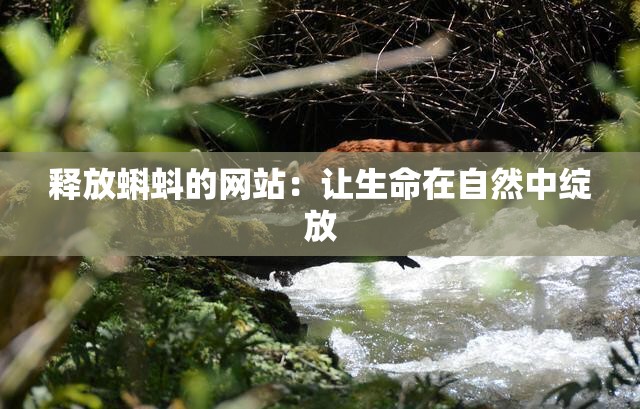 释放蝌蚪的网站：让生命在自然中绽放