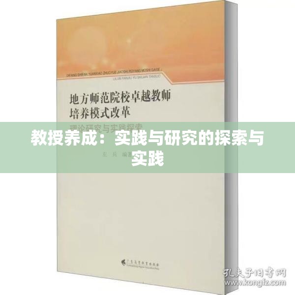 教授养成：实践与研究的探索与实践