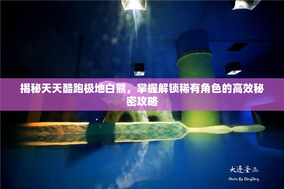 揭秘天天酷跑极地白熊，掌握解锁稀有角色的高效秘密攻略