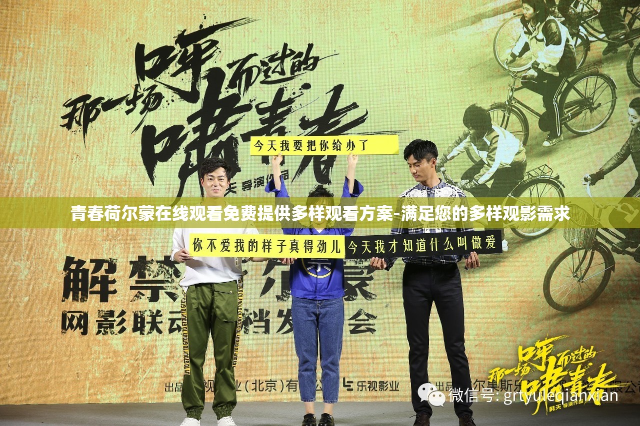 青春荷尔蒙在线观看免费提供多样观看方案-满足您的多样观影需求