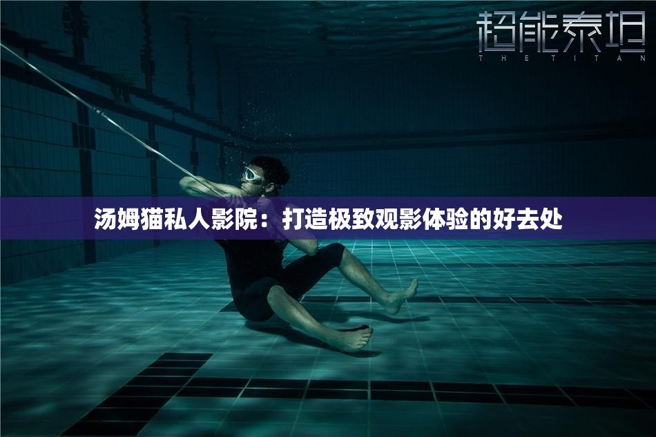 汤姆猫私人影院：打造极致观影体验的好去处