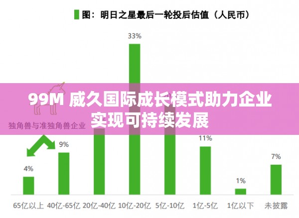 99M 威久国际成长模式助力企业实现可持续发展