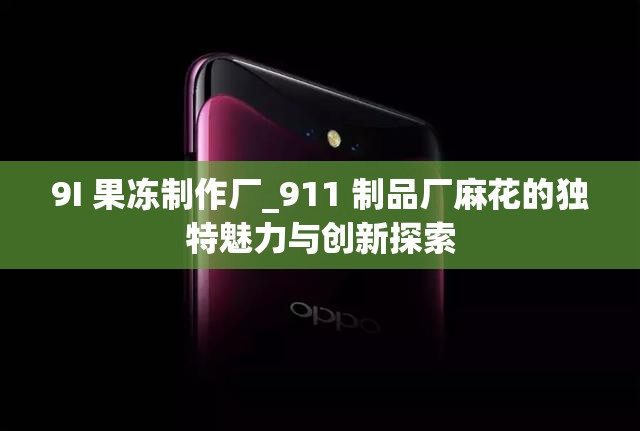 9I 果冻制作厂_911 制品厂麻花的独特魅力与创新探索