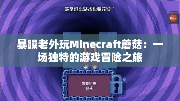 暴躁老外玩Minecraft蘑菇：一场独特的游戏冒险之旅