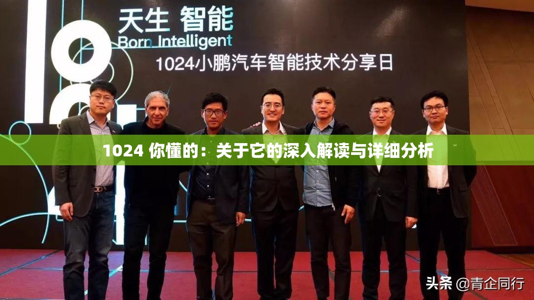 1024 你懂的：关于它的深入解读与详细分析