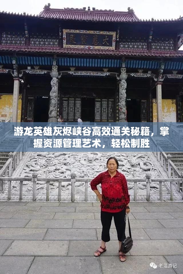 游龙英雄灰烬峡谷高效通关秘籍，掌握资源管理艺术，轻松制胜