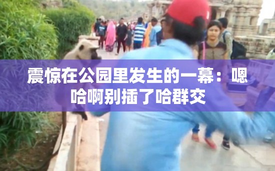 震惊在公园里发生的一幕：嗯哈啊别插了哈群交
