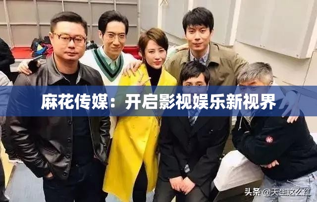 麻花传媒：开启影视娱乐新视界