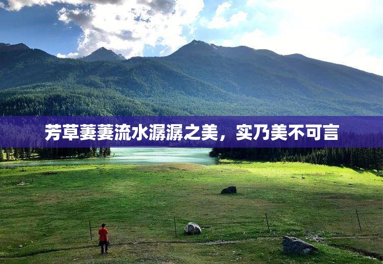 芳草萋萋流水潺潺之美，实乃美不可言