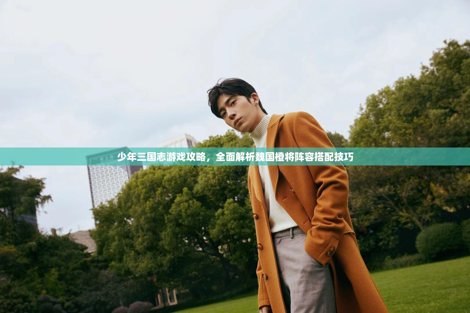 少年三国志游戏攻略，全面解析魏国橙将阵容搭配技巧
