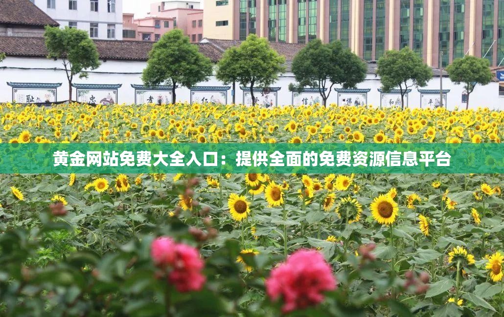 黄金网站免费大全入口：提供全面的免费资源信息平台