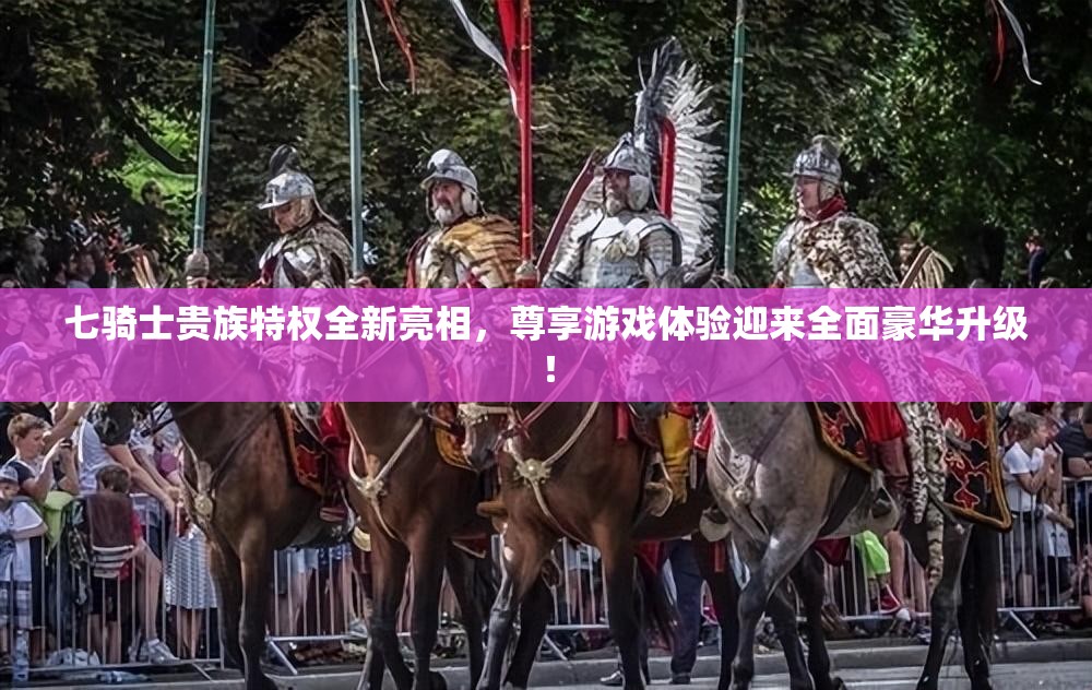 七骑士贵族特权全新亮相，尊享游戏体验迎来全面豪华升级！