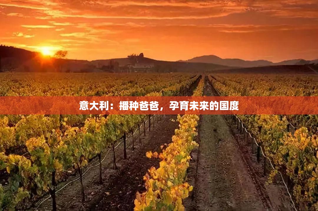 意大利：播种爸爸，孕育未来的国度