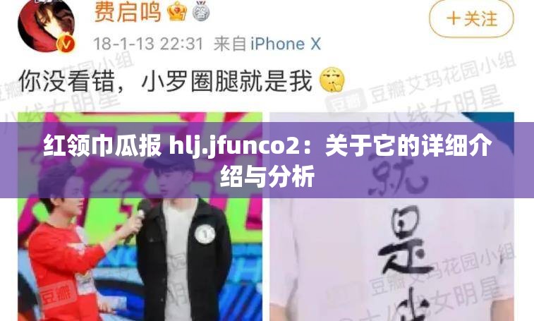 红领巾瓜报 hlj.jfunco2：关于它的详细介绍与分析
