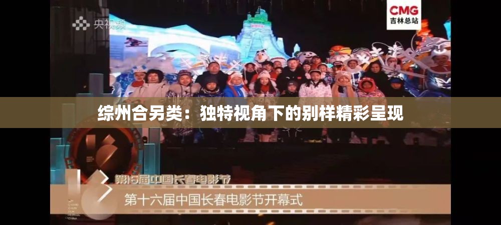 综州合另类：独特视角下的别样精彩呈现