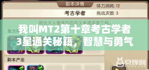 我叫MT2第十章考古学者3星通关秘籍，智慧与勇气并重，解锁三星通关的终极策略