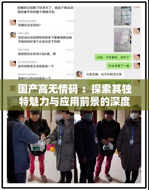 国产高无情码 ：探索其独特魅力与应用前景的深度解析