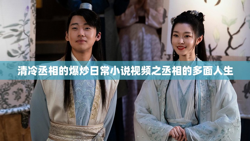 清冷丞相的爆炒日常小说视频之丞相的多面人生