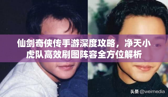 仙剑奇侠传手游深度攻略，净天小虎队高效刷图阵容全方位解析