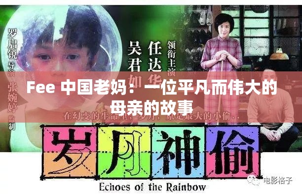 Fee 中国老妈：一位平凡而伟大的母亲的故事