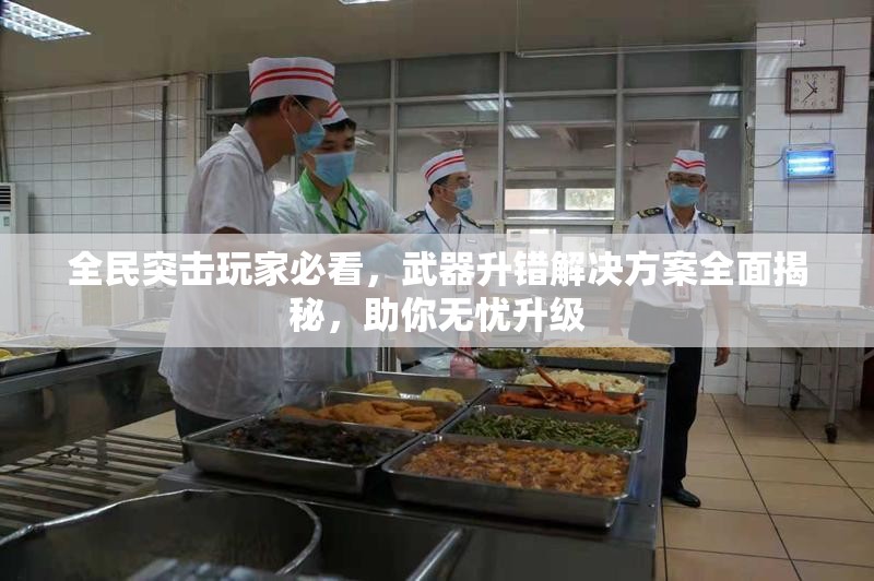 全民突击玩家必看，武器升错解决方案全面揭秘，助你无忧升级