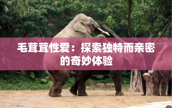 毛茸茸性爱：探索独特而亲密的奇妙体验