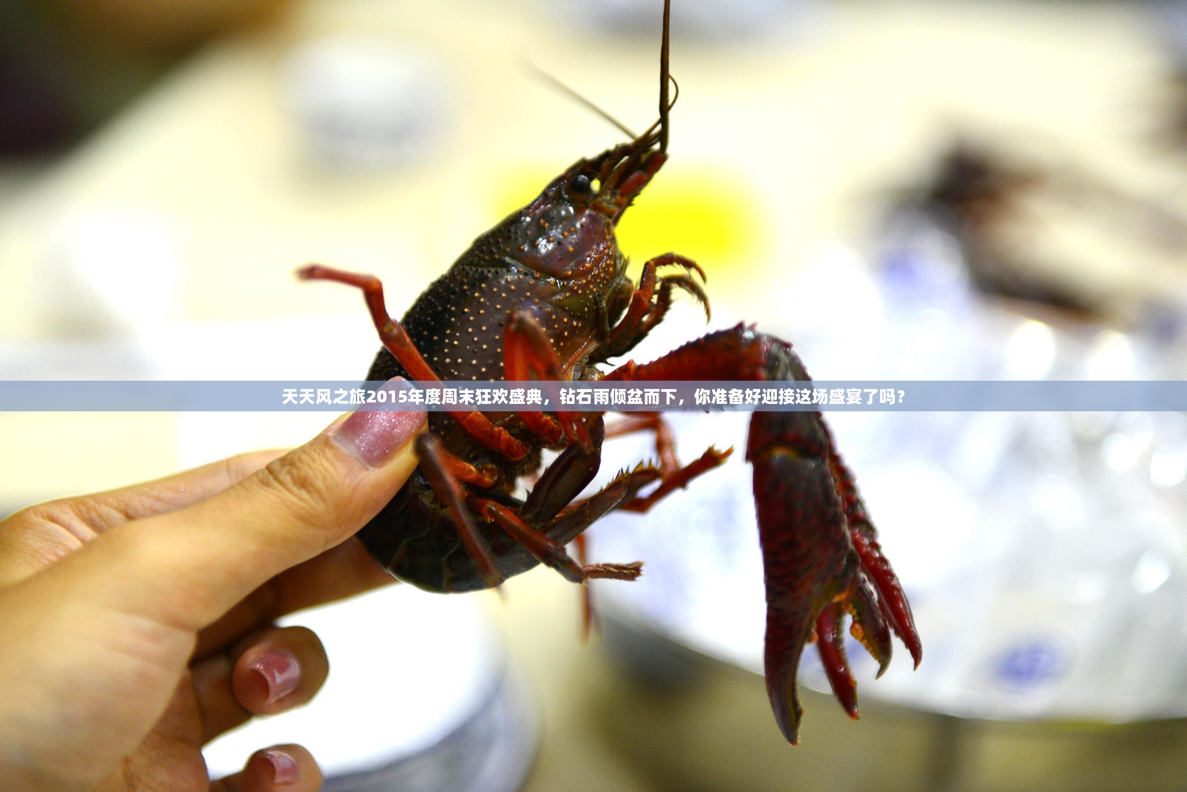 天天风之旅2015年度周末狂欢盛典，钻石雨倾盆而下，你准备好迎接这场盛宴了吗？
