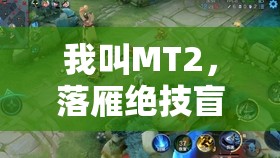 我叫MT2，落雁绝技盲目粉尘，专为后排敌人打造的噩梦技能