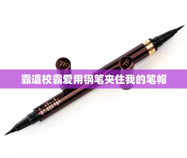 霸道校霸爱用钢笔夹住我的笔帽