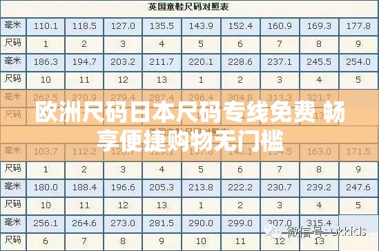 欧洲尺码日本尺码专线免费 畅享便捷购物无门槛