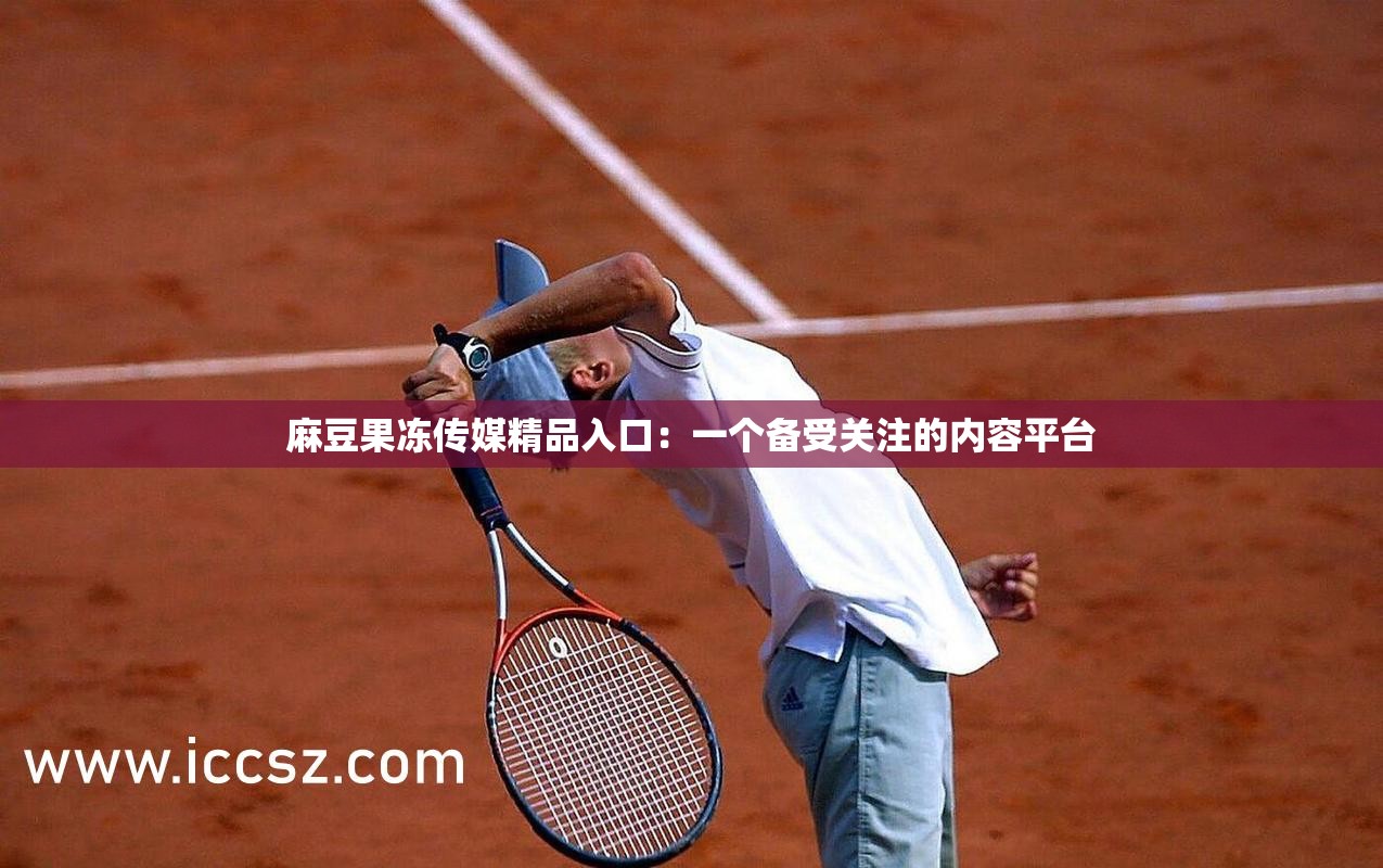 麻豆果冻传媒精品入口：一个备受关注的内容平台