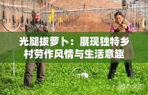 光腿拔萝卜：展现独特乡村劳作风情与生活意趣