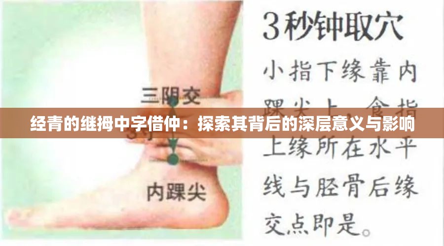 经青的继拇中字借仲：探索其背后的深层意义与影响