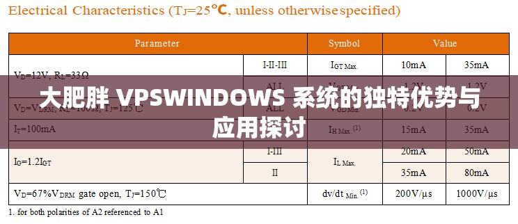 大肥胖 VPSWINDOWS 系统的独特优势与应用探讨