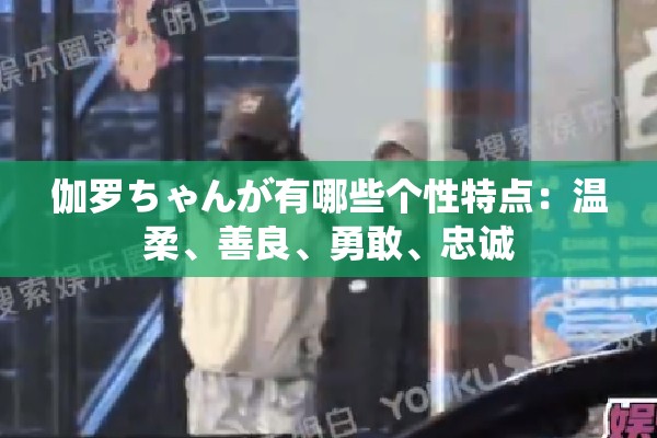 伽罗ちゃんが有哪些个性特点：温柔、善良、勇敢、忠诚