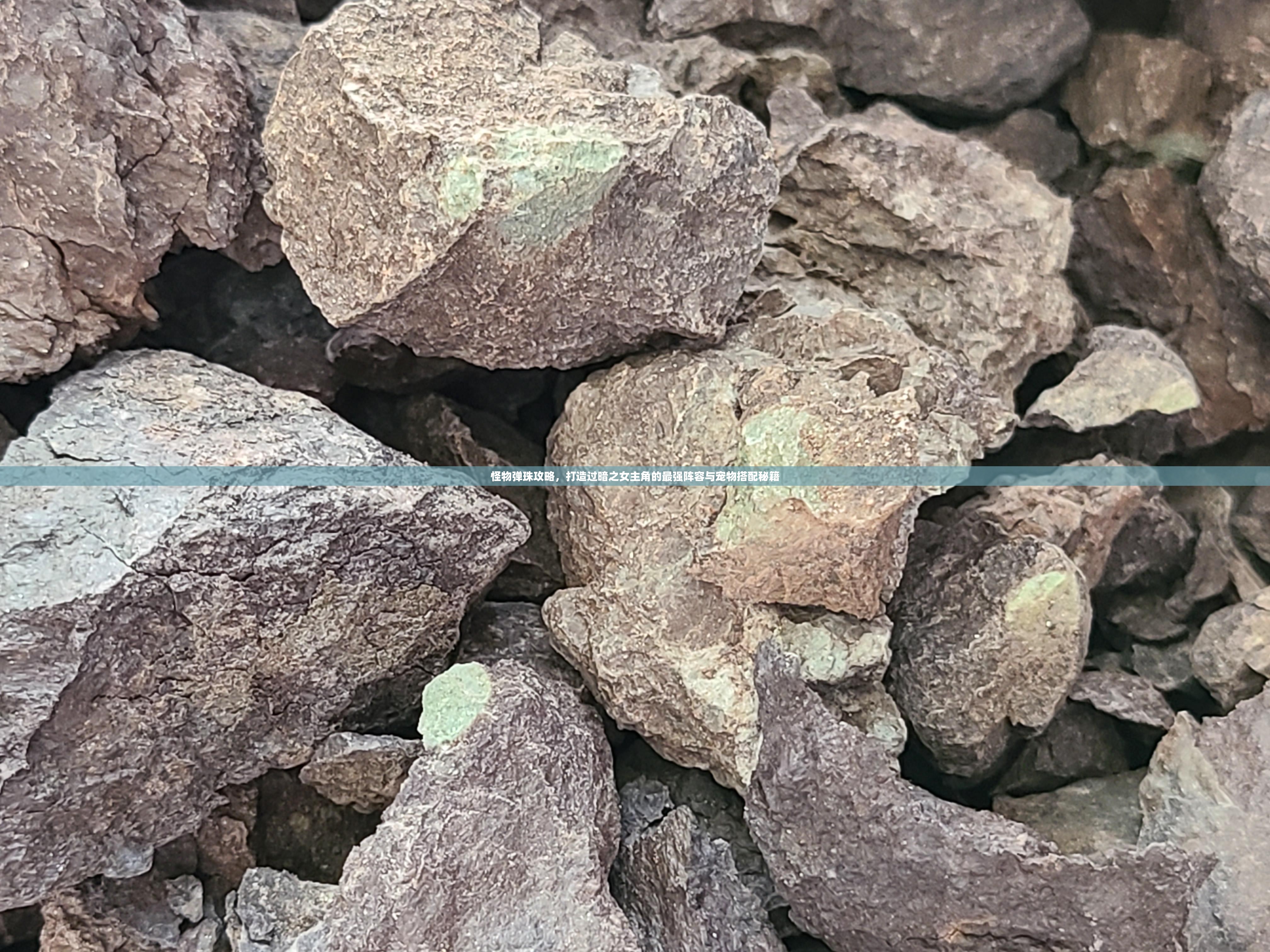 怪物弹珠攻略，打造过暗之女主角的最强阵容与宠物搭配秘籍