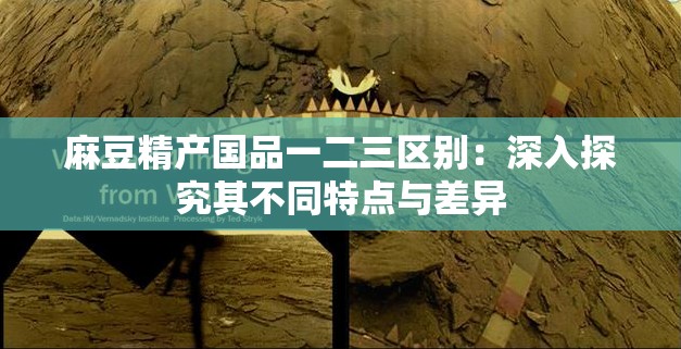 麻豆精产国品一二三区别：深入探究其不同特点与差异