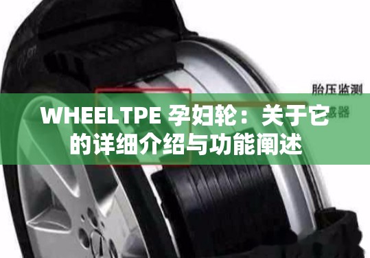 WHEELTPE 孕妇轮：关于它的详细介绍与功能阐述