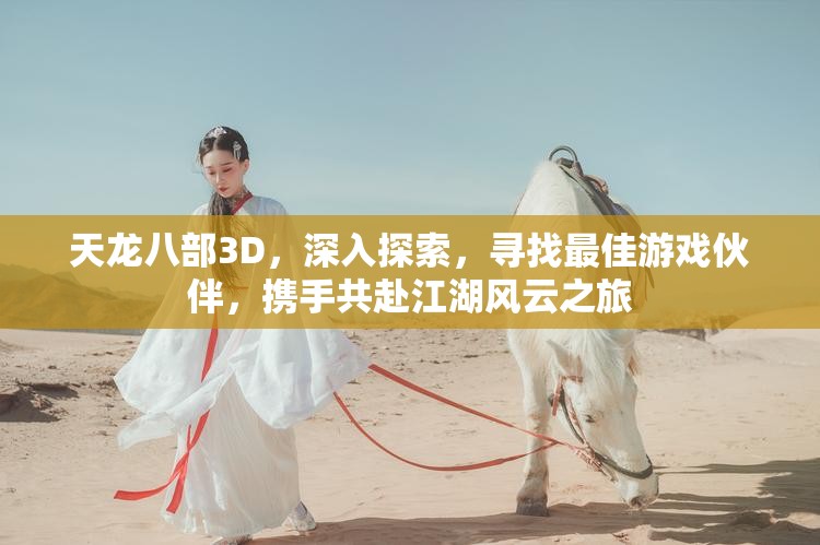 天龙八部3D，深入探索，寻找最佳游戏伙伴，携手共赴江湖风云之旅